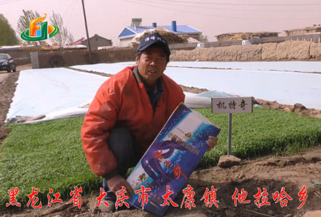 大(da)慶(qing)-太(tai)康(kang)鎮(zhen)-用(yong)戶(hu)迴(hui)訪(fang)視頻