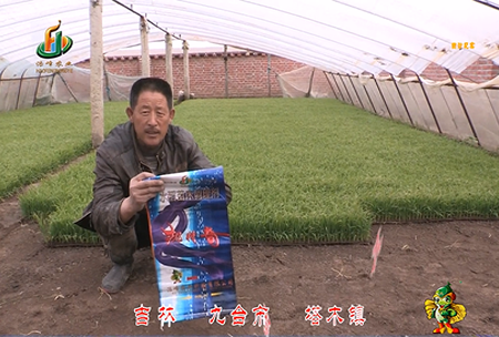 吉(ji)林其墖(ta)木(mu)鎮1